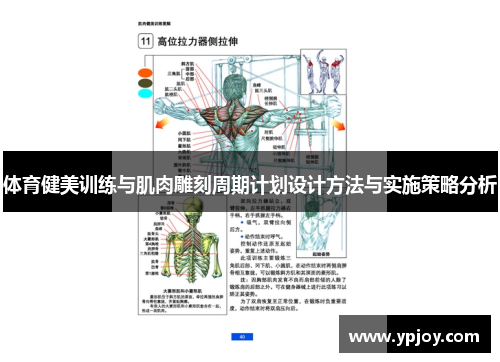 体育健美训练与肌肉雕刻周期计划设计方法与实施策略分析